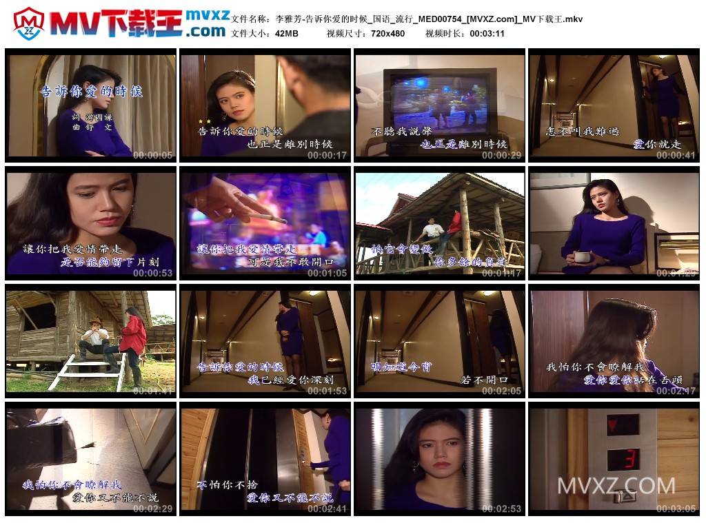 李雅芳-告诉你爱的时候_国语_流行_MED00754